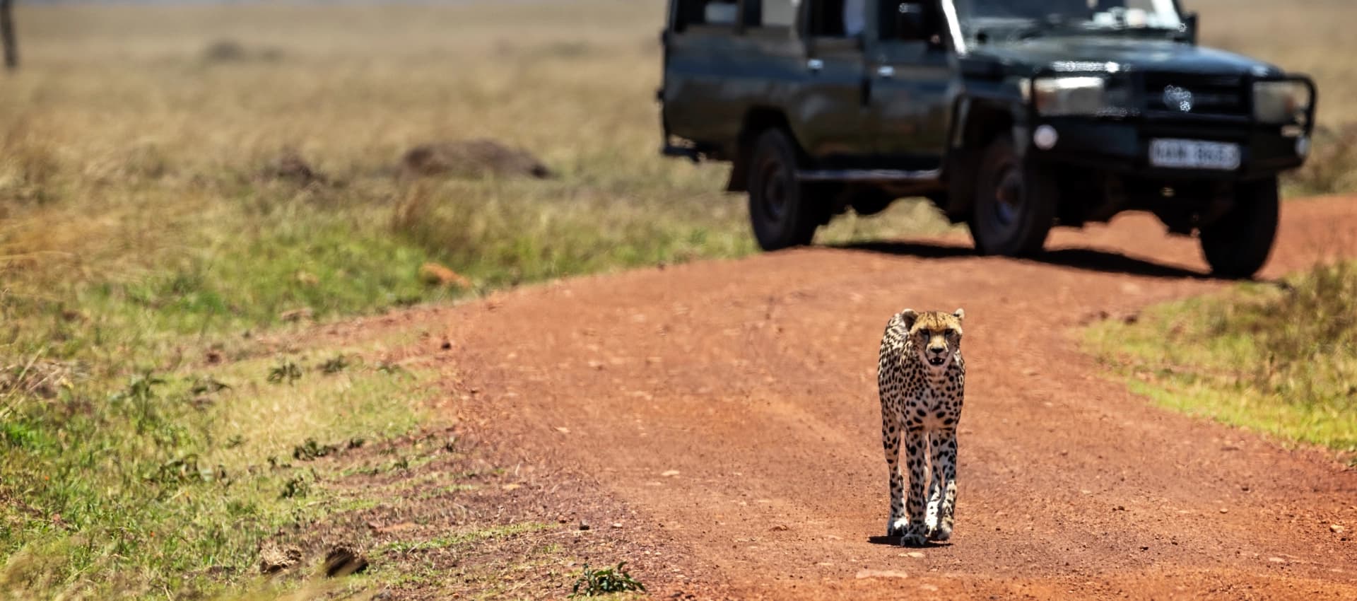  Africa Unfiltered 