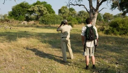 Guided Walking Safaris