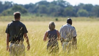 Guided Walking Experiences
