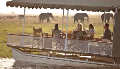 Chobe River Cruises