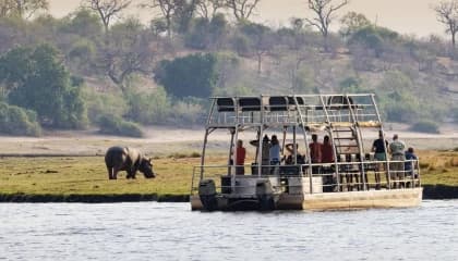 Chobe River Wildlife Cruise