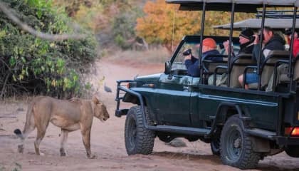 Chobe National Park Game Drives