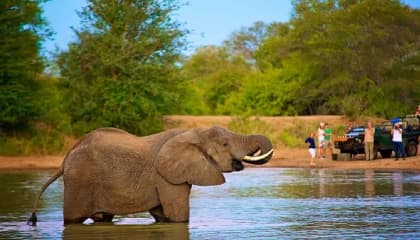 Kruger Big Five Safari
