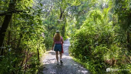 Guided Victoria Falls Walk