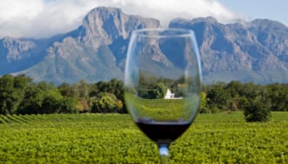 Winelands Tasting Experience