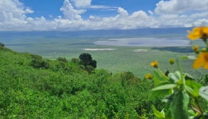 Full-Day on Ngorongoro Crater