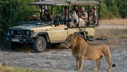 Chobe National Park Game Drive