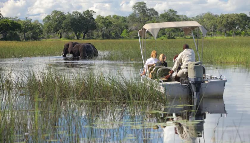 Boat Safari Across Delta Lagoons