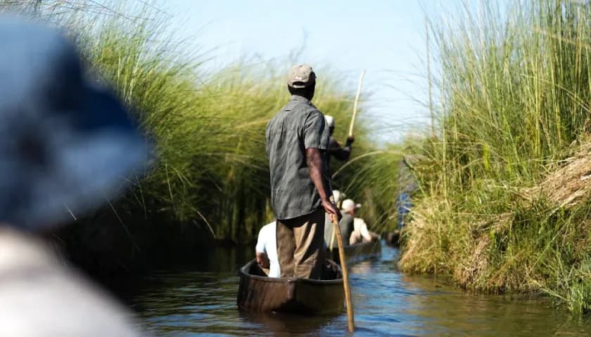 Mokoro Safari Through Delta Channels