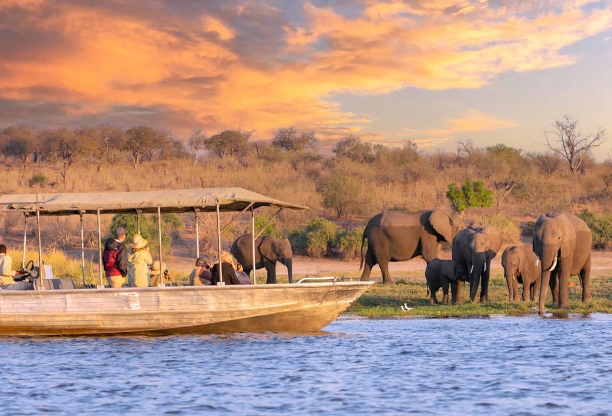 Chobe River and Land Safari