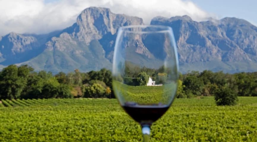 Winelands Tasting Journey