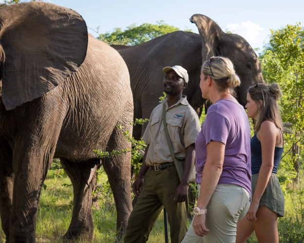 Kenya Safari