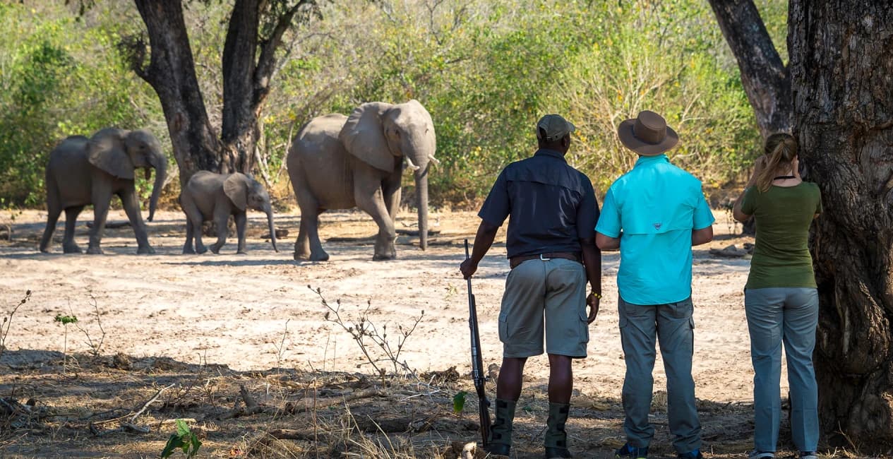 Best of Zimbabwe – Mana Pools, Bumi Hills, Hwange and Victoria Falls