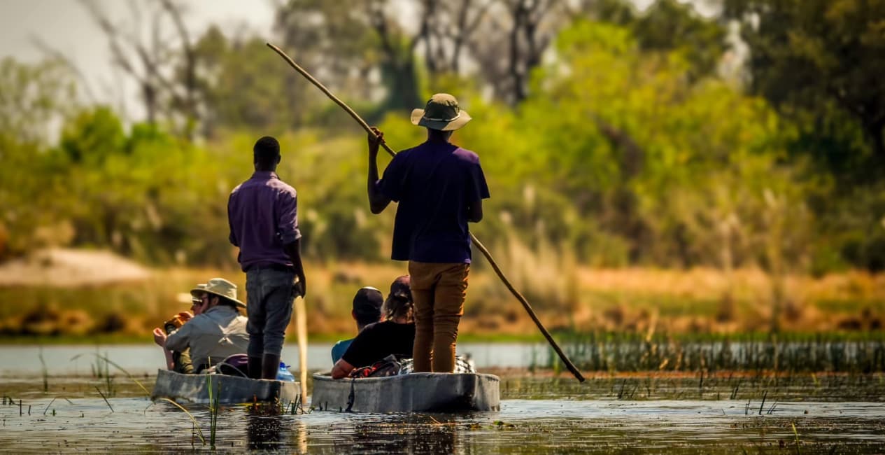 Ultimate Southern Africa Safari – Cape Town, Kruger, Victoria Falls, Okavango