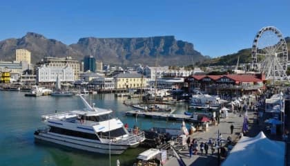 Cape Town Exploration