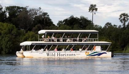 Zambezi River Cruise Experience