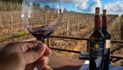 Winelands Tasting Experience