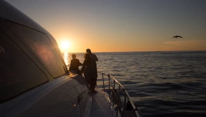 Sunset Cruise Moments