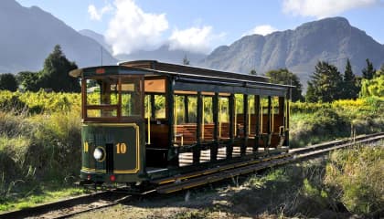 Flexible Vineyard Hopper Experience