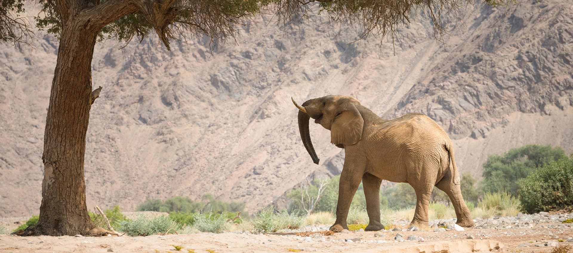 Namibia Destinations