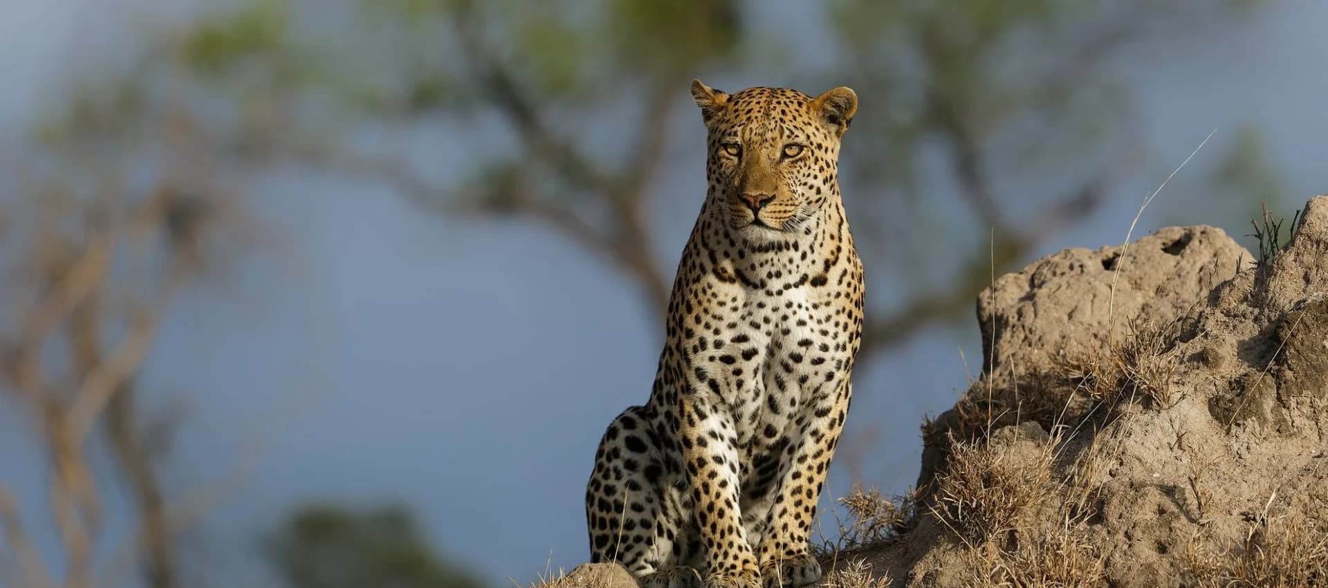 South Africa Destinations