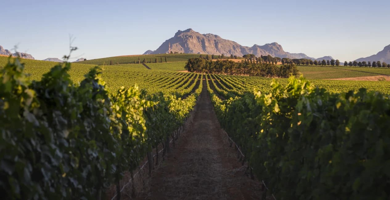 Vineyard roads, historic farms, and food-driven days reward curiosity.