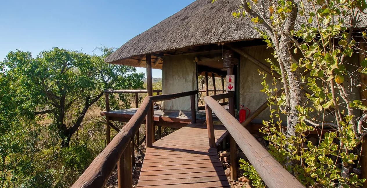 Camp Shonga