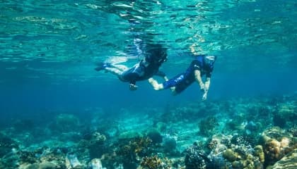 Snorkelling And Marine Encounters