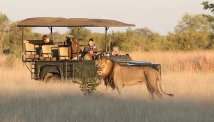Hwange Big Game Safaris