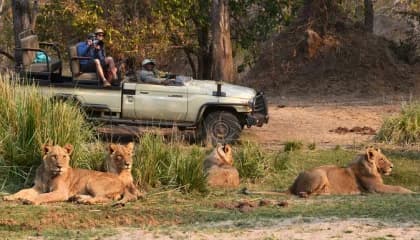 Zambezi Park Game Drive
