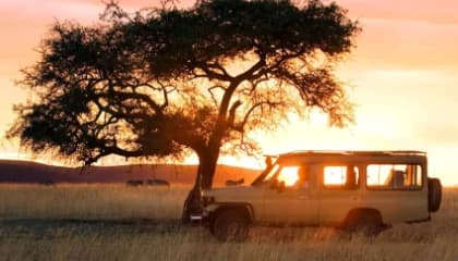 Shared game drives in Sand River