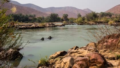 Kunene River Encounters