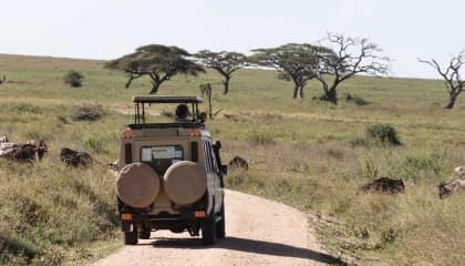 Private Serengeti Game Drives