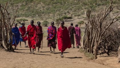 Cultural Community Encounters