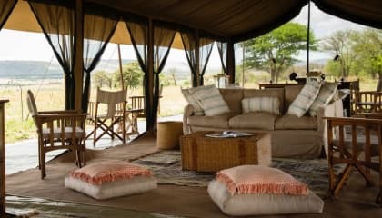 Two Serengeti Camp Styles