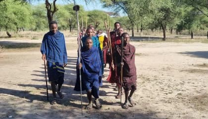 Maasai Cultural Encounters