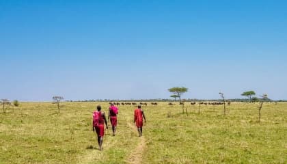 Guided Ranch Walks