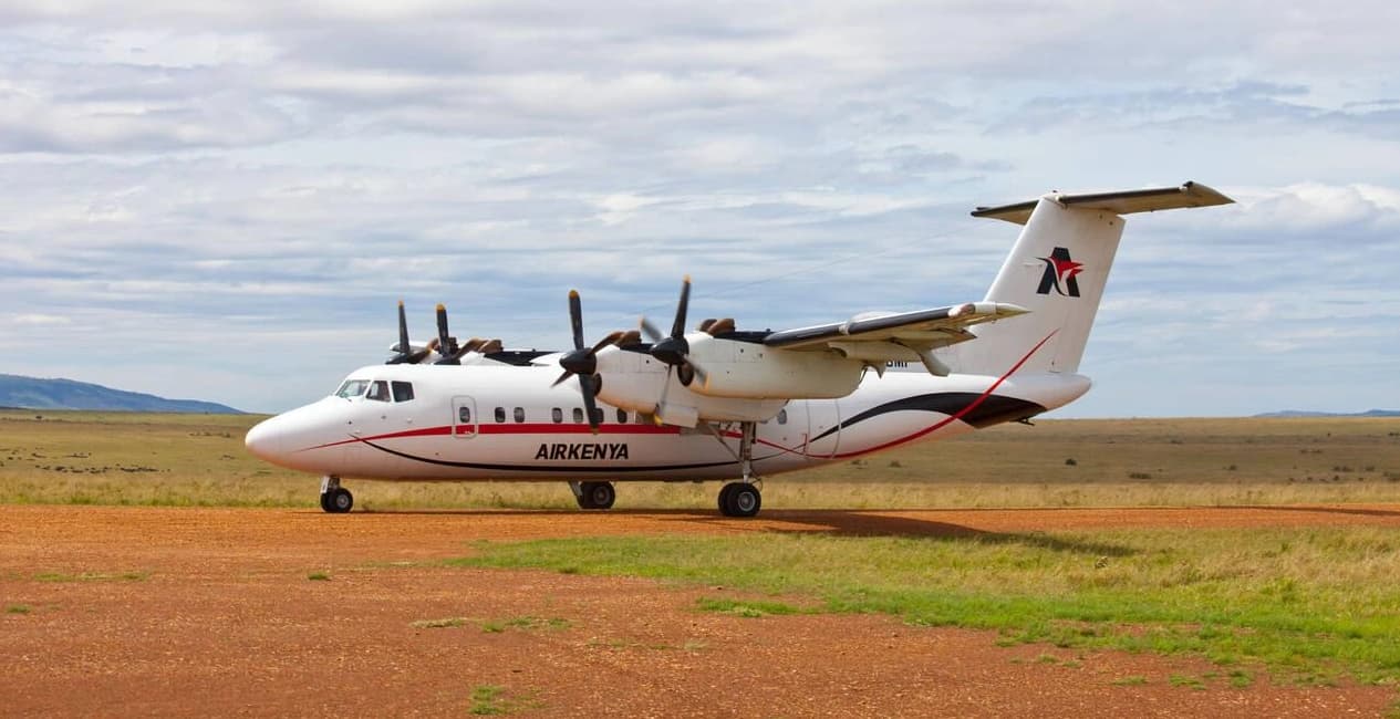 Swift Safari - 7-Day Flying Safari