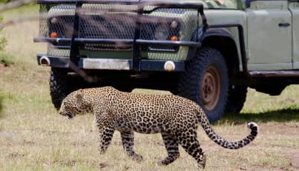 Private Drives in Mara North