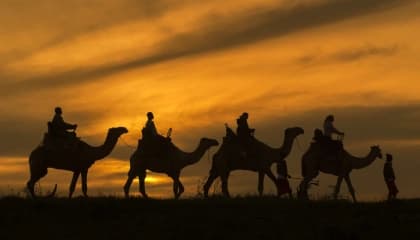 Camel Trek Across Loisaba Plains
