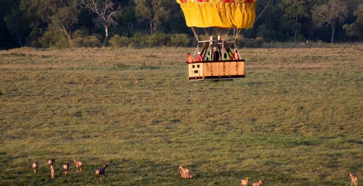 Wild Romance – 7-Day Flying Safari