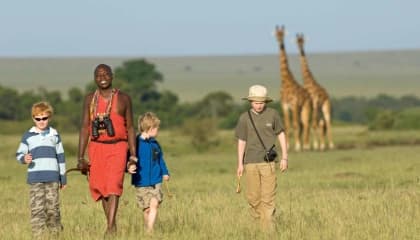 Guided Bush Walks
