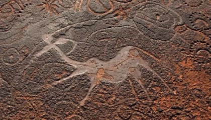Damaraland Rock Art
