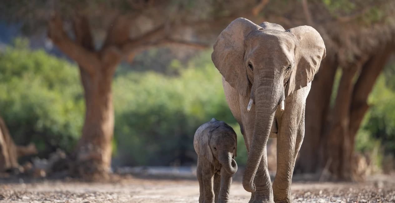16-Day Best of Namibia with Southern Extension