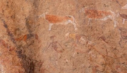 Damaraland Wildlife And Rock Art