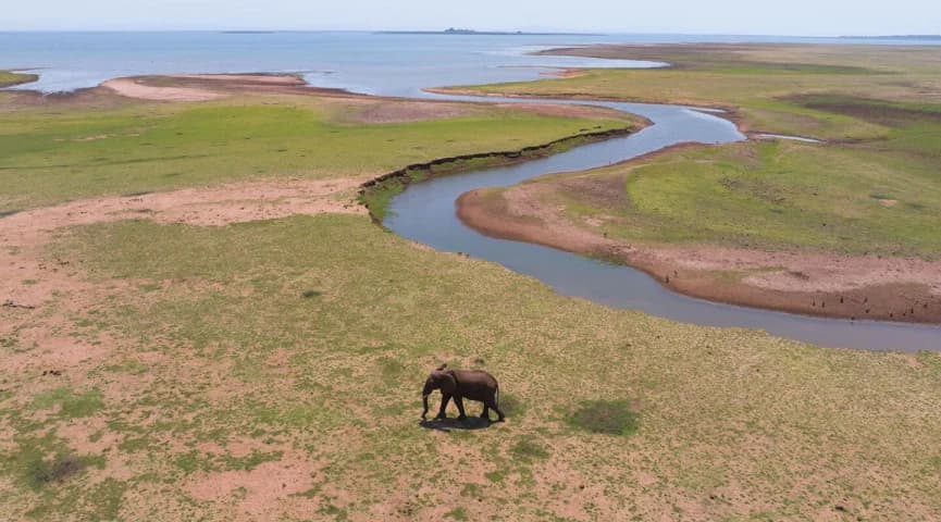 Guided Walk Beside Kariba