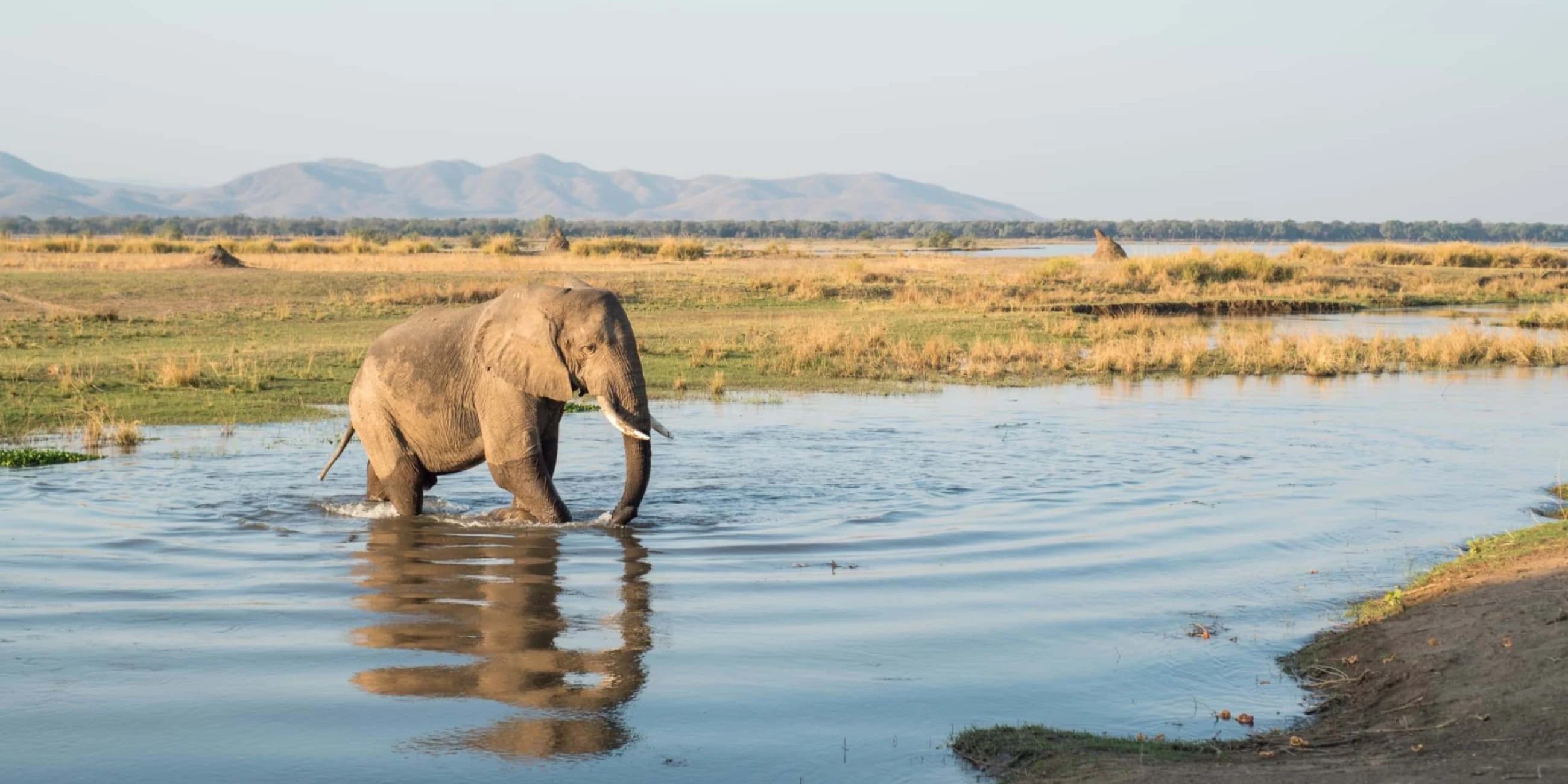 Mana Pools and Bumi Hills