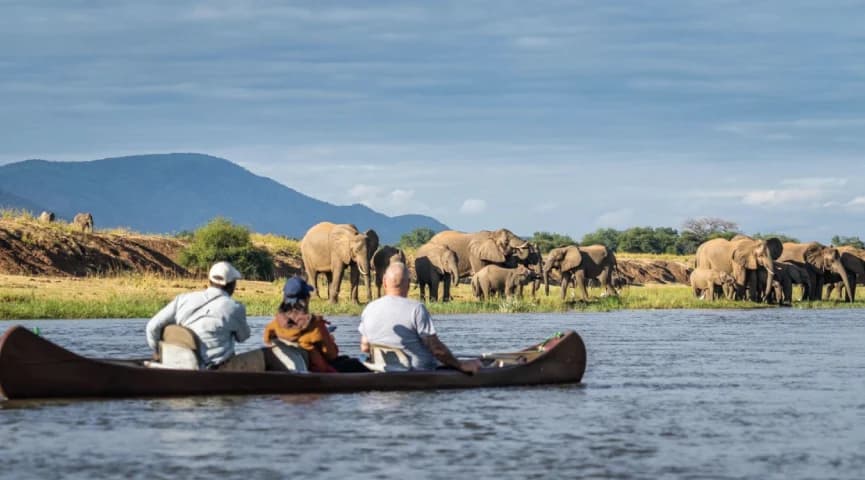 Lower Zambezi Canoe Safari