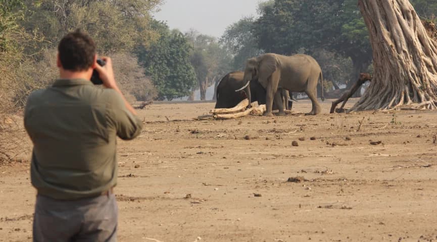 Guided Mana Pools Walk