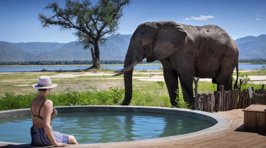 Nyamatusi River Camp Stay